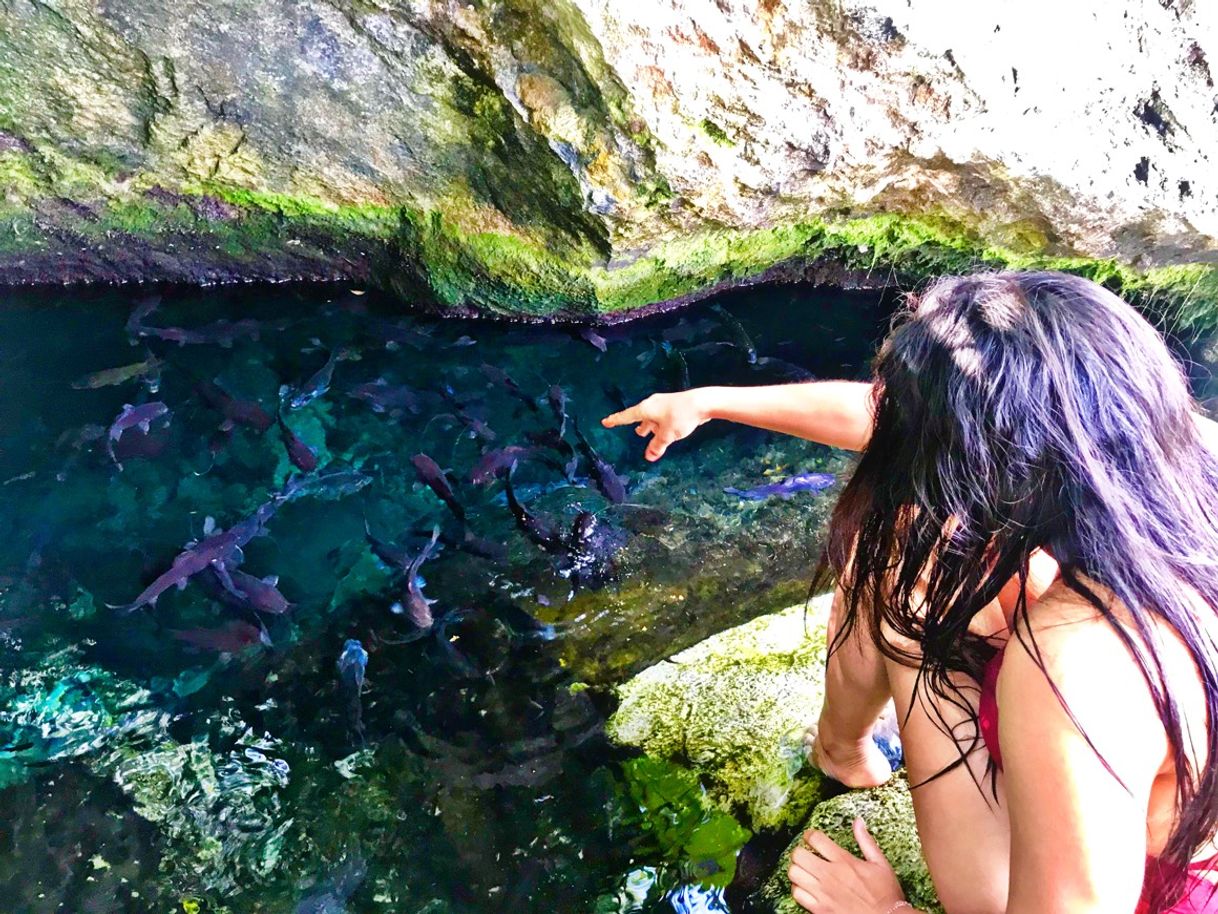 Restaurants Cenote Manatí