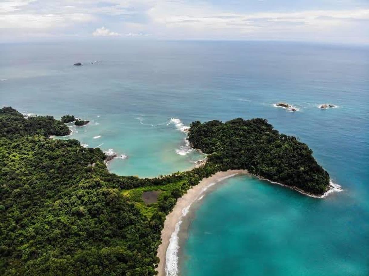 Place Manuel Antonio