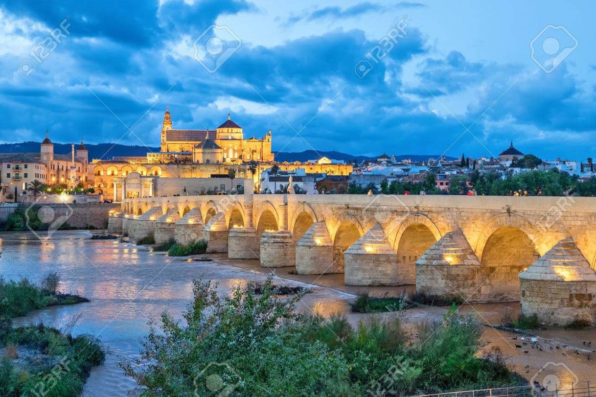 Place Puente Romano de Córdoba