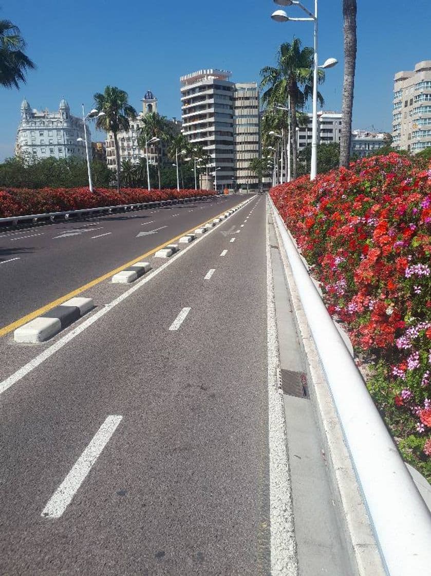 Lugar Puente de las Flores