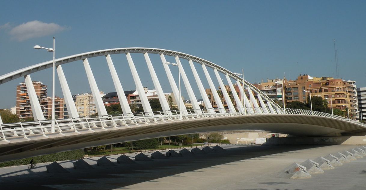 Lugar Puente de la Peineta