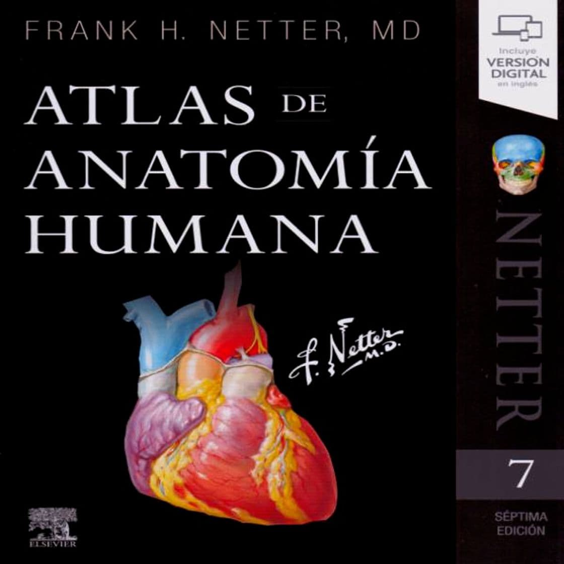 Moda Netter atlas de anatomía humana 