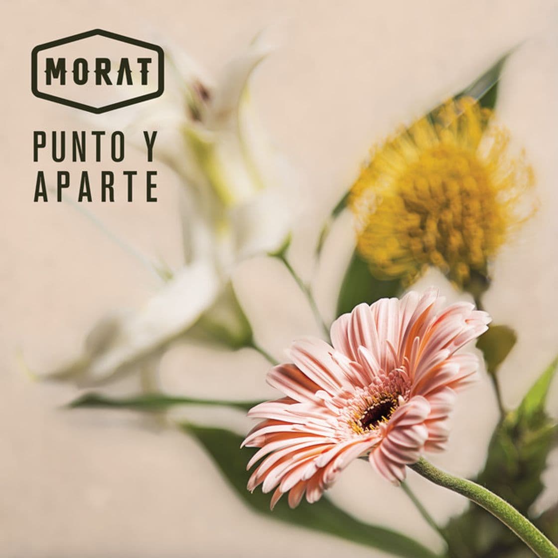 Canción Punto Y Aparte