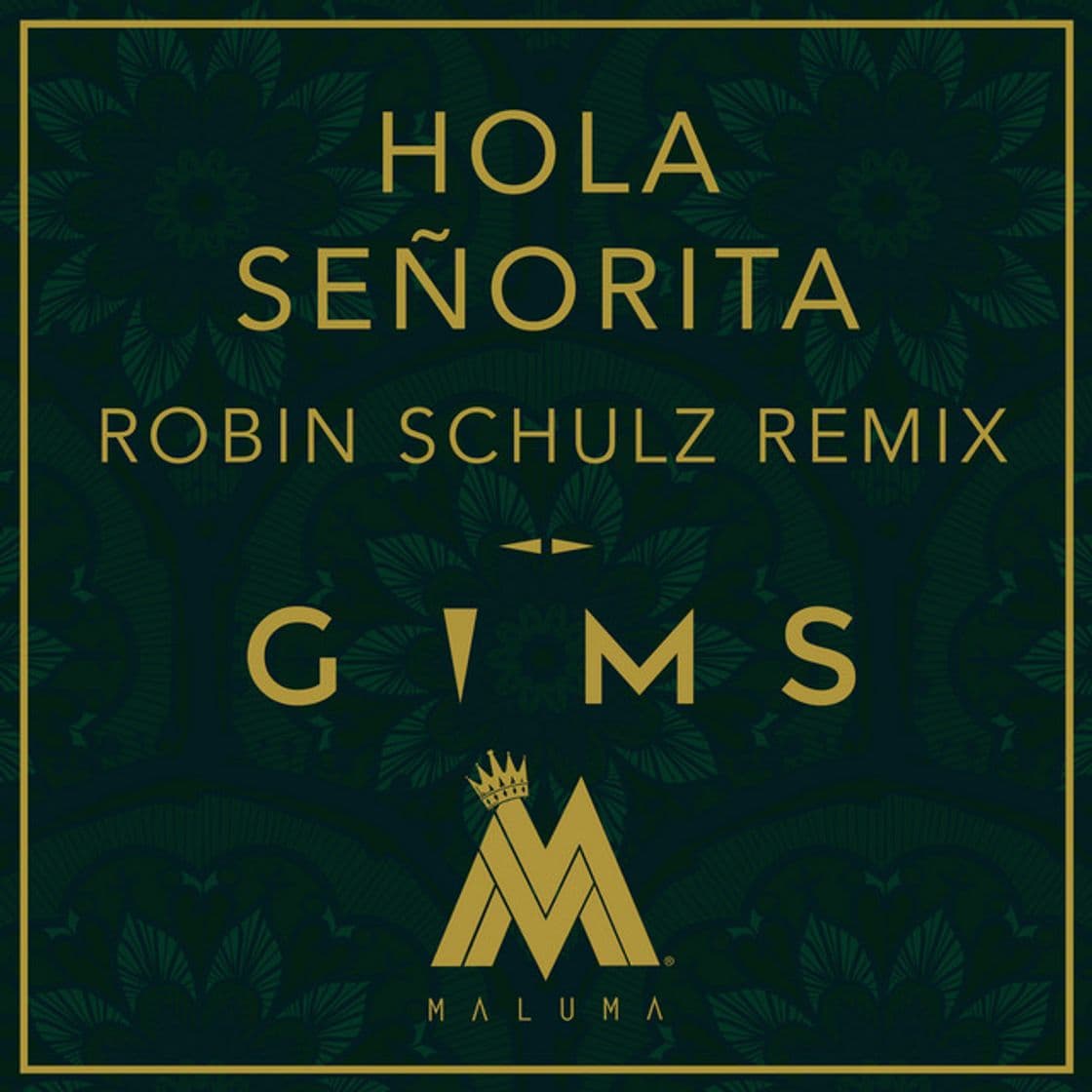 Music Hola Señorita - Robin Schulz Remix