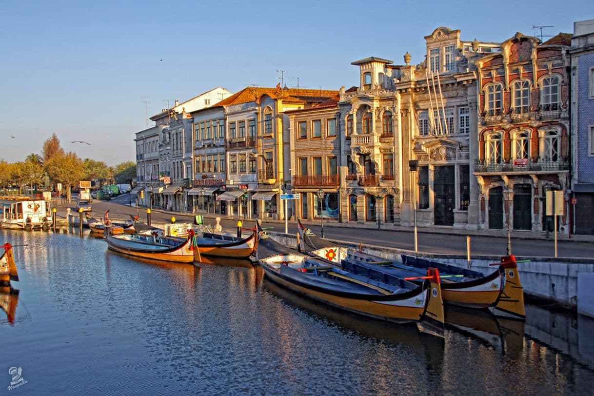 Fashion Aveiro (Venecia Portuguesa) 