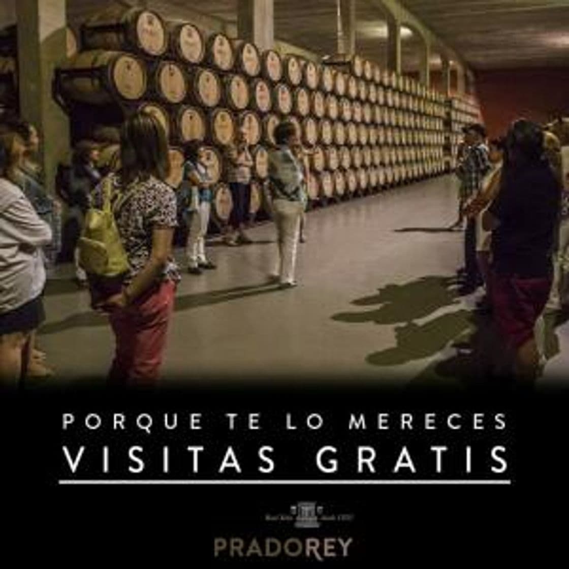 Fashion Visita gratis a Bodega + Degustación de vino, queso y aceite 