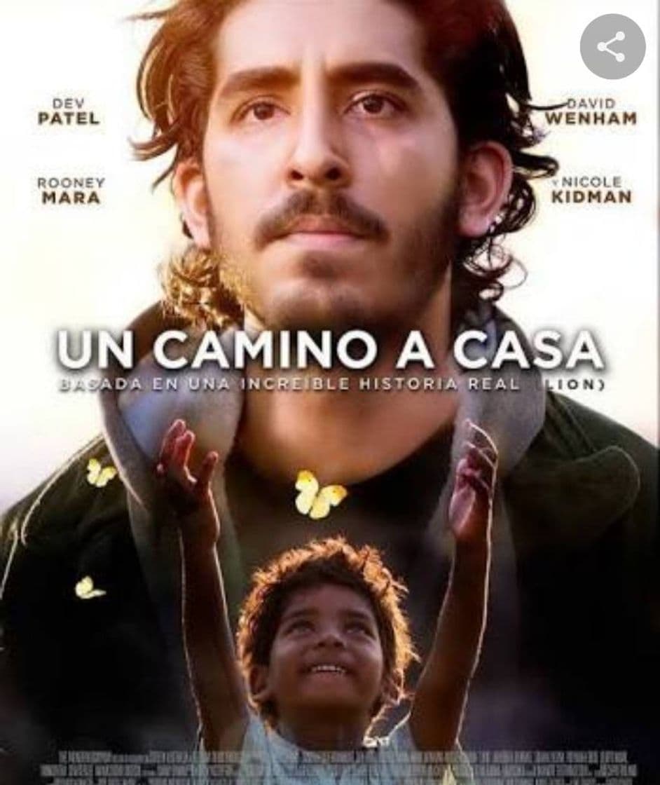 Película Un Viaje a casa 