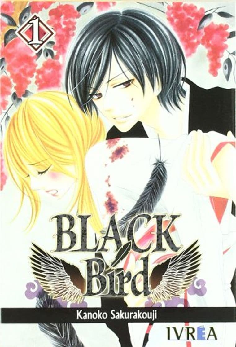 Book Black bird 01