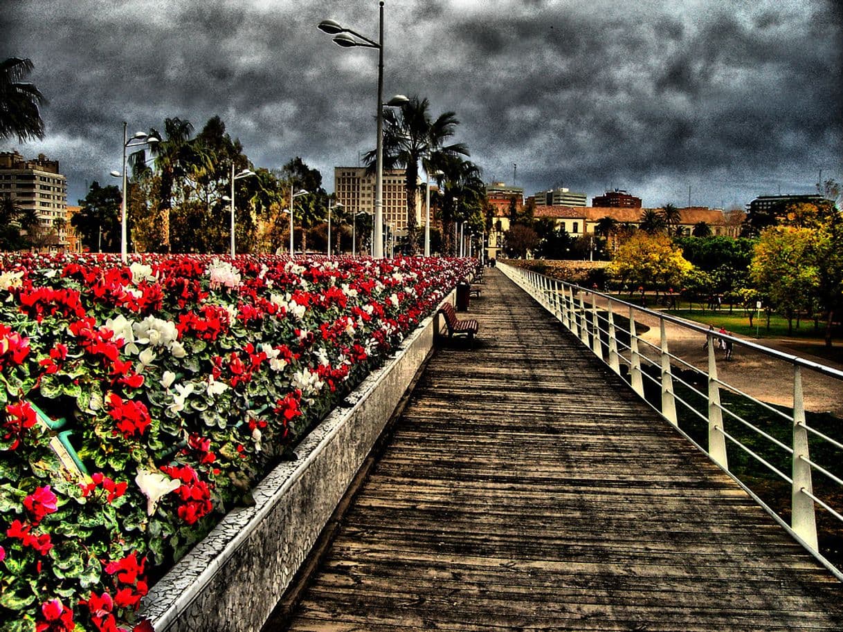 Lugar Puente de las Flores