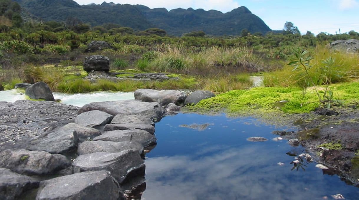 Place Puracé National Natural Park