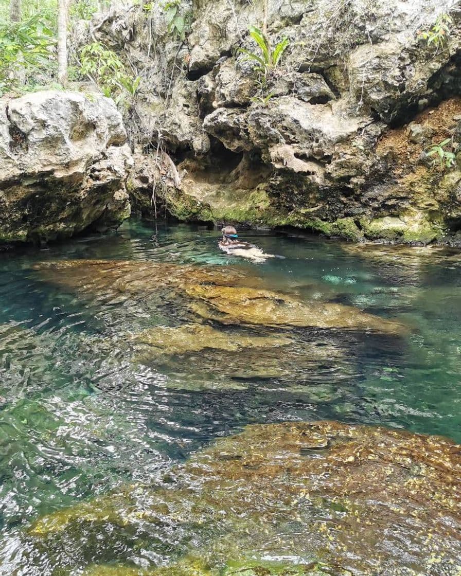 Lugar Cenote Jardin El Eden