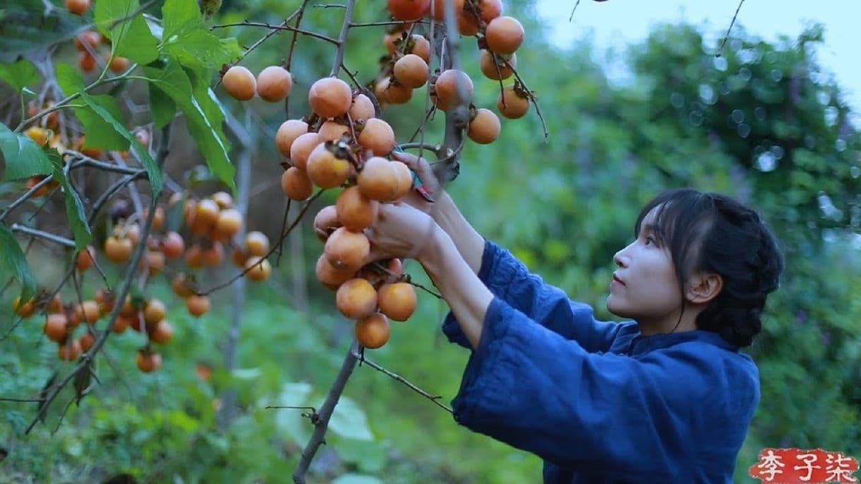 Fashion 吊柿饼|It's a red mountain, and in the fall, it's natural to make some ...