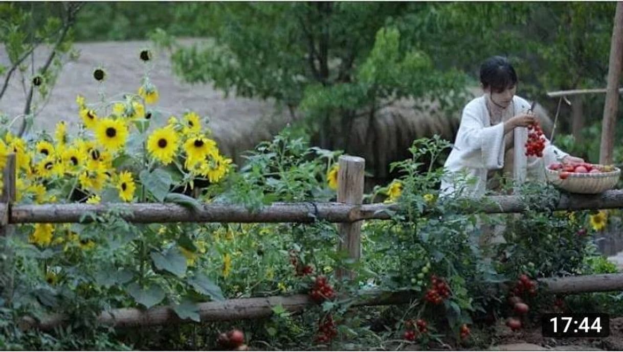 Fashion Liqizi: Huerto y preparación de vegetales del huerto