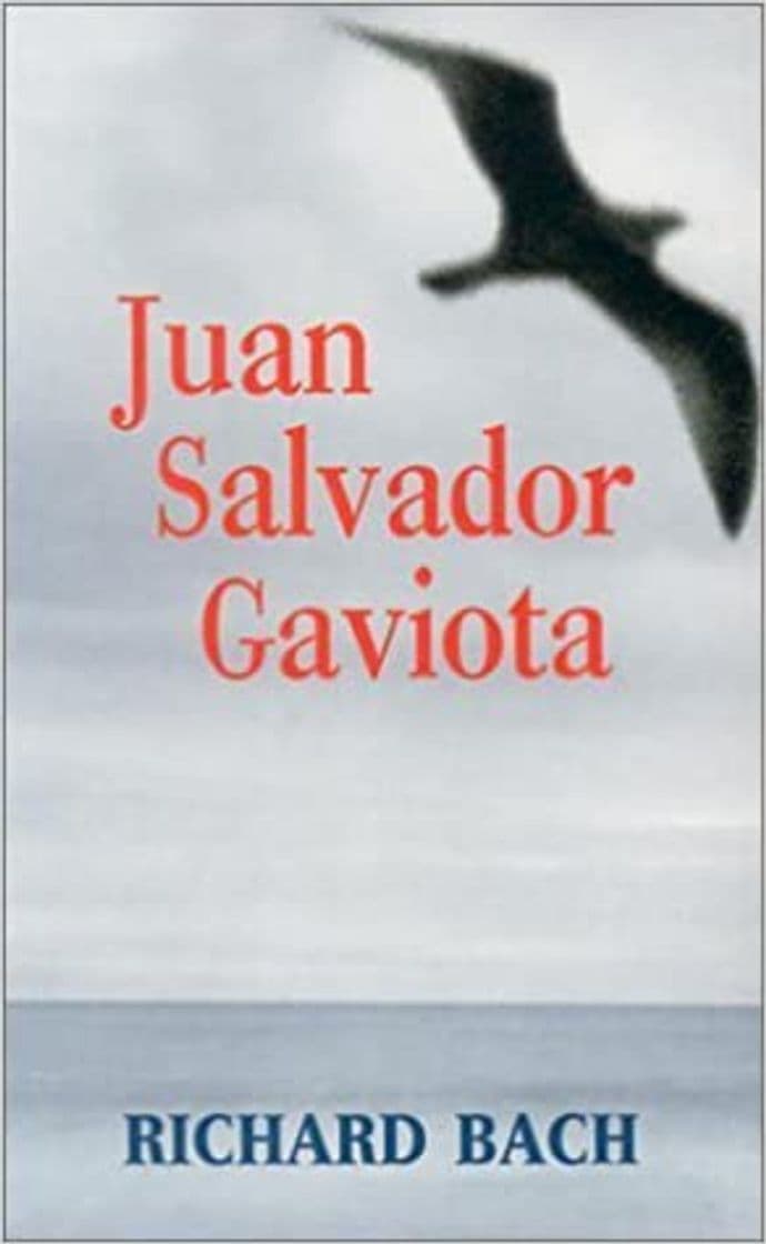 Fashion JUAN SALVADOR GAVIOTA