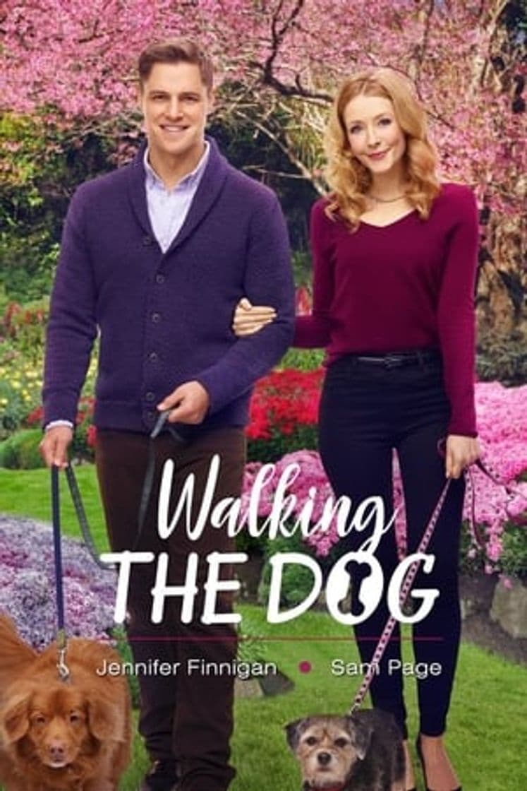 Movie Walking the Dog