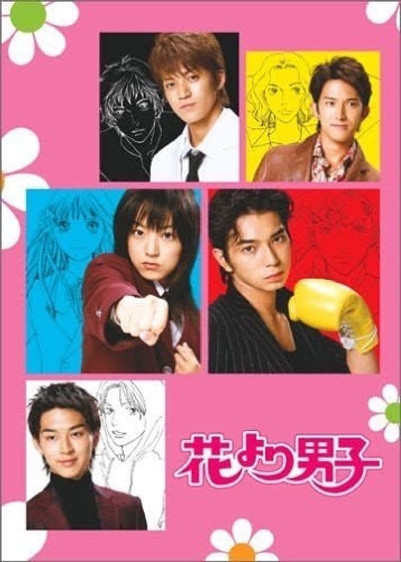 Serie BOYS OVER FLOWERS