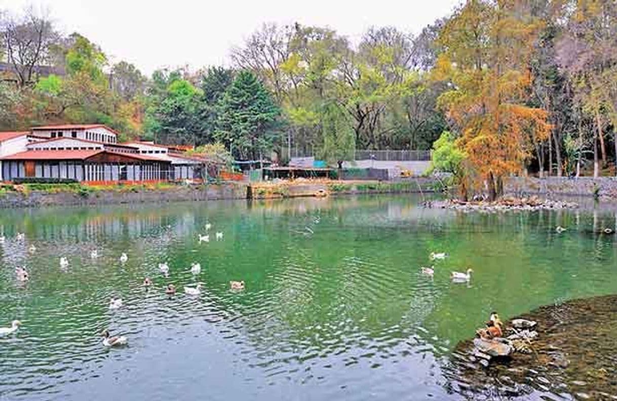 Place Parque Nacional Fuentes Brotantes