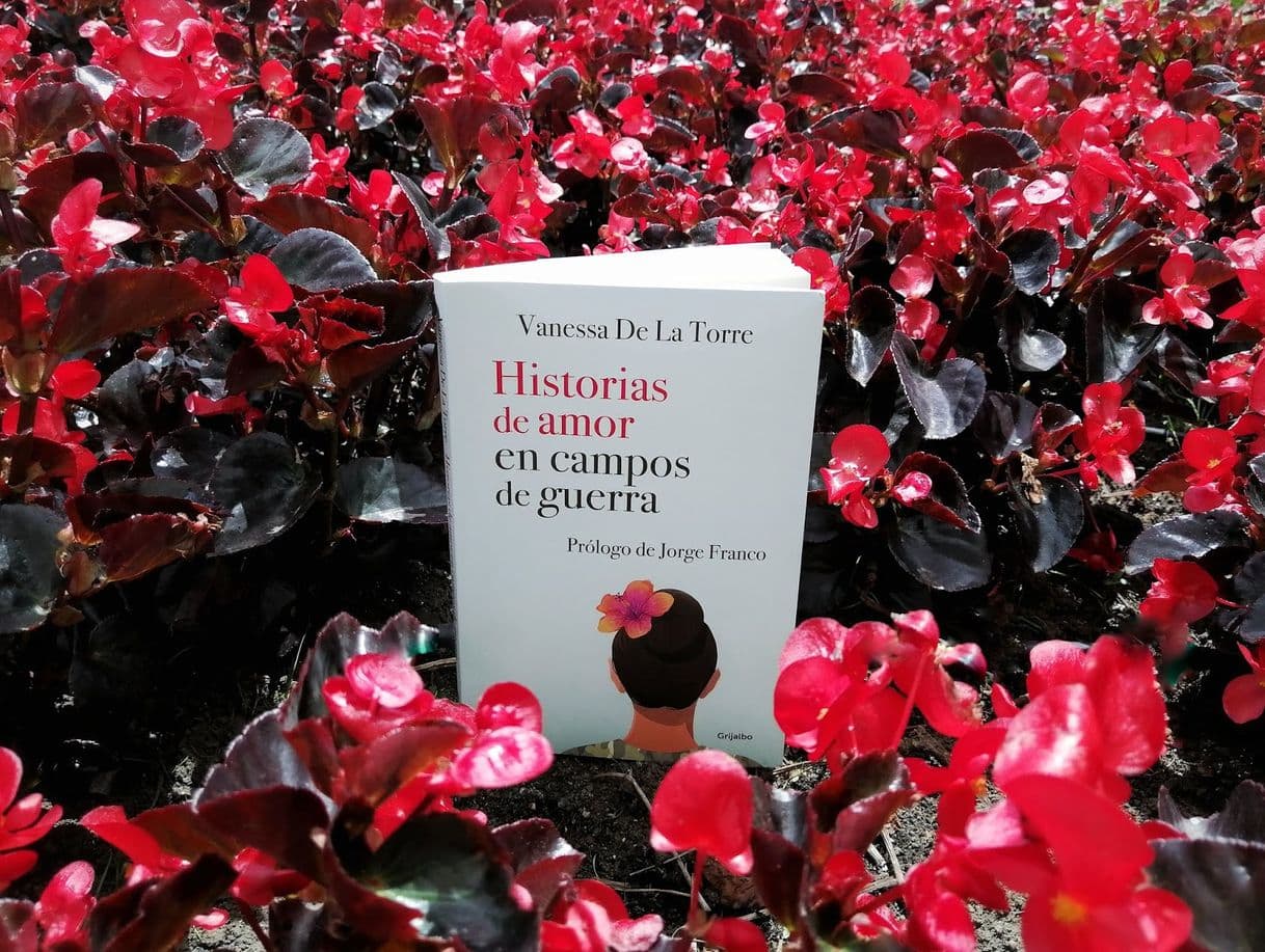 Book Historias de amor en campos de guerra