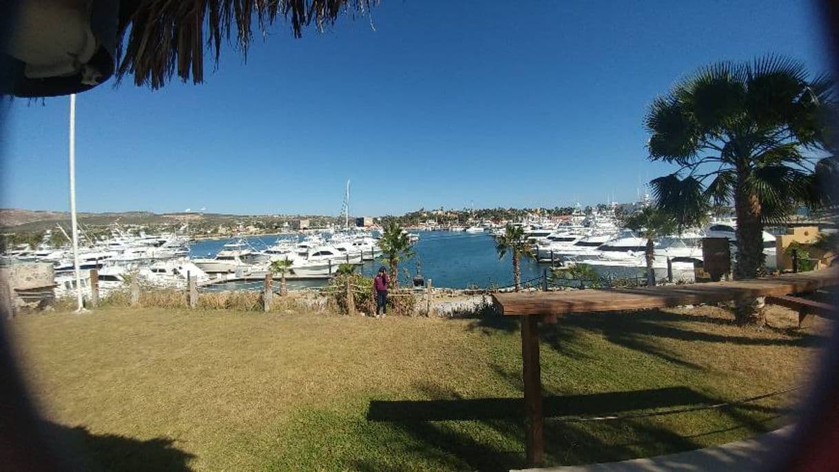 Lugar Puerto los Cabos Golf Course