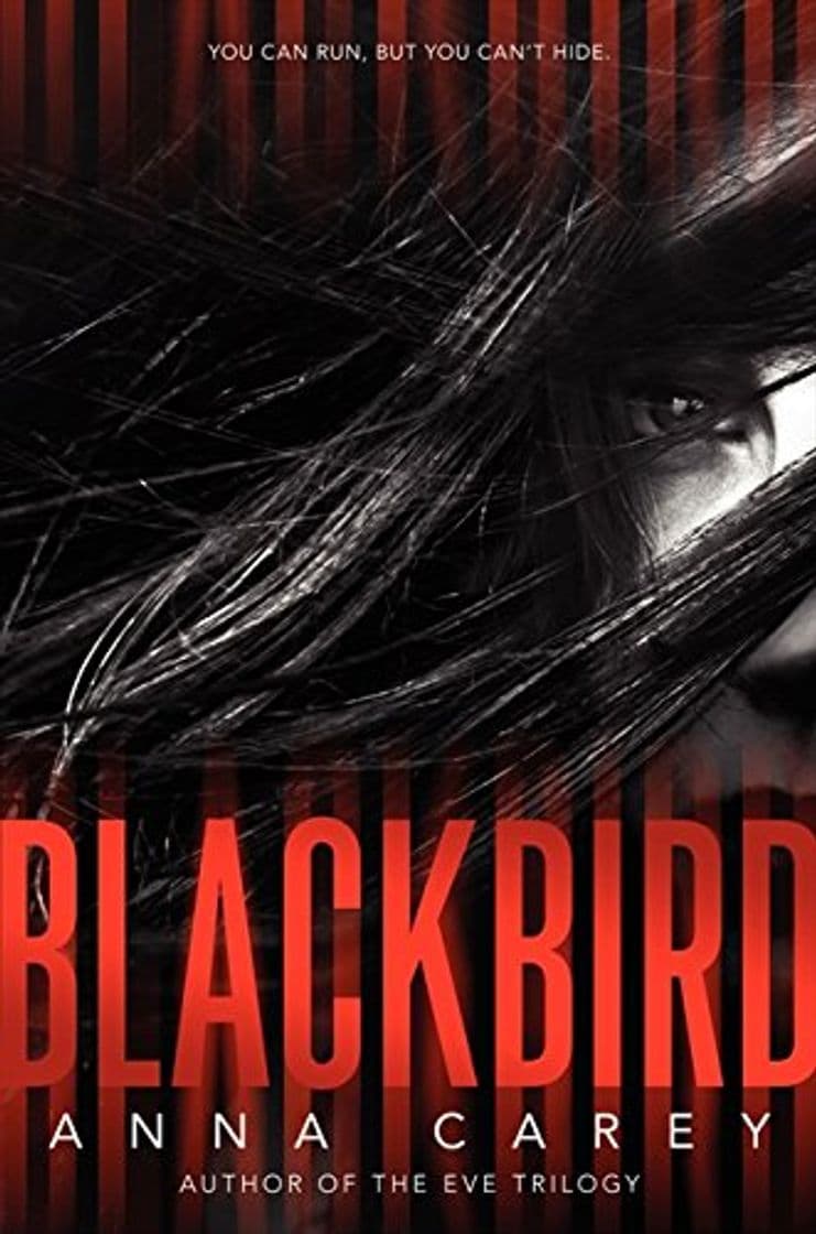 Book Blackbird