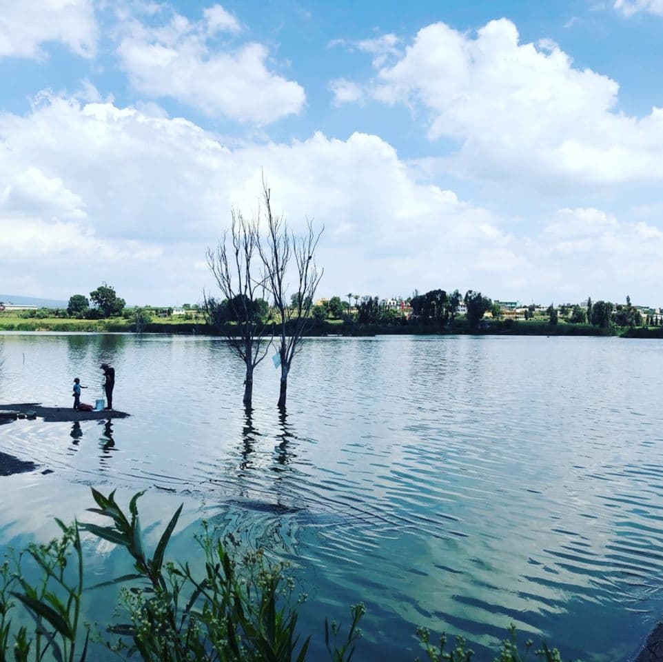 Lugar Laguna de Acuitlapilco