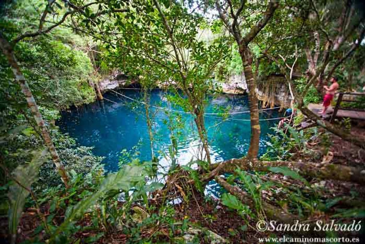 Place Ruta de los cenotes, puerto morelos Qroo