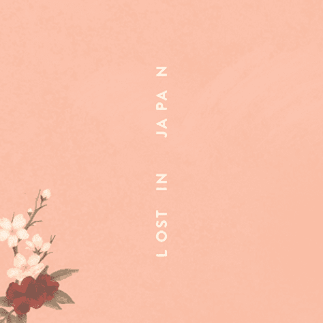 Book Lost in Japan - Shawn Mendes