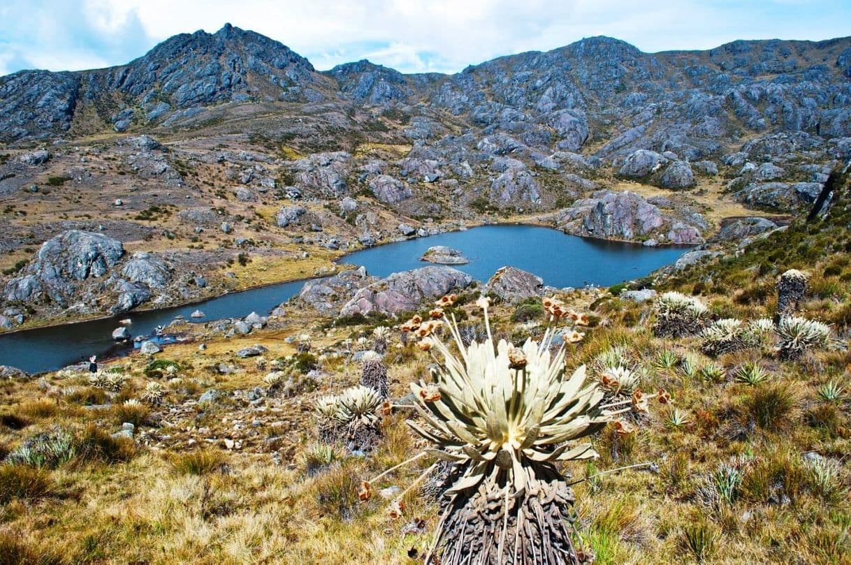 Place Paramo de Santurban