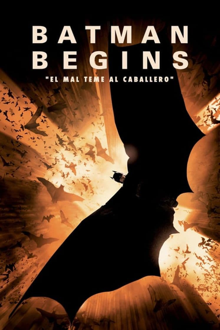 Película Batman Begins