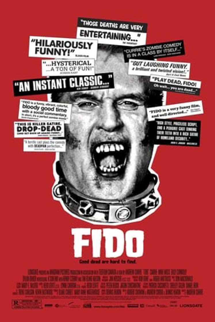 Película Fido