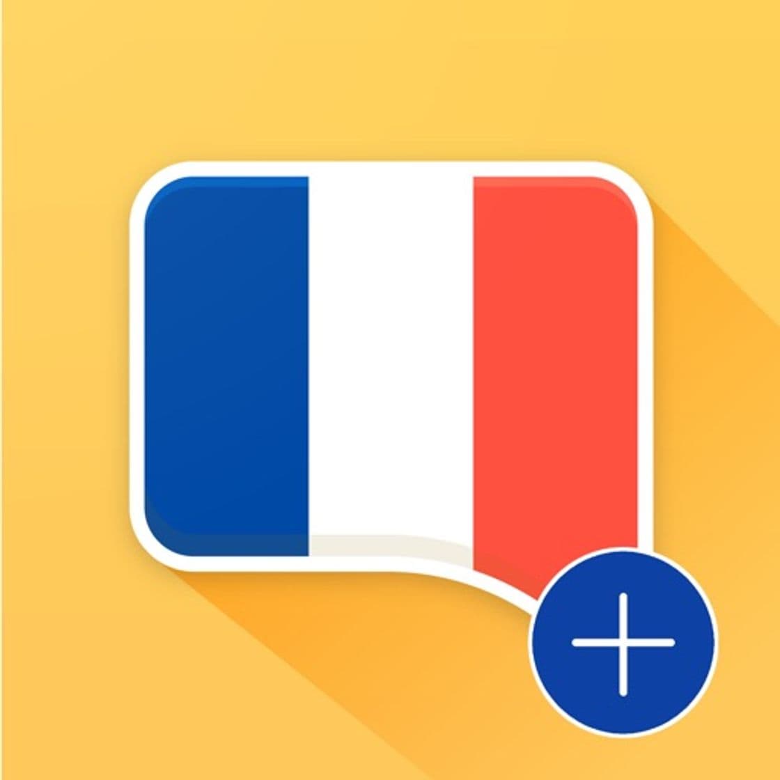 App French Verb Conjugator Pro