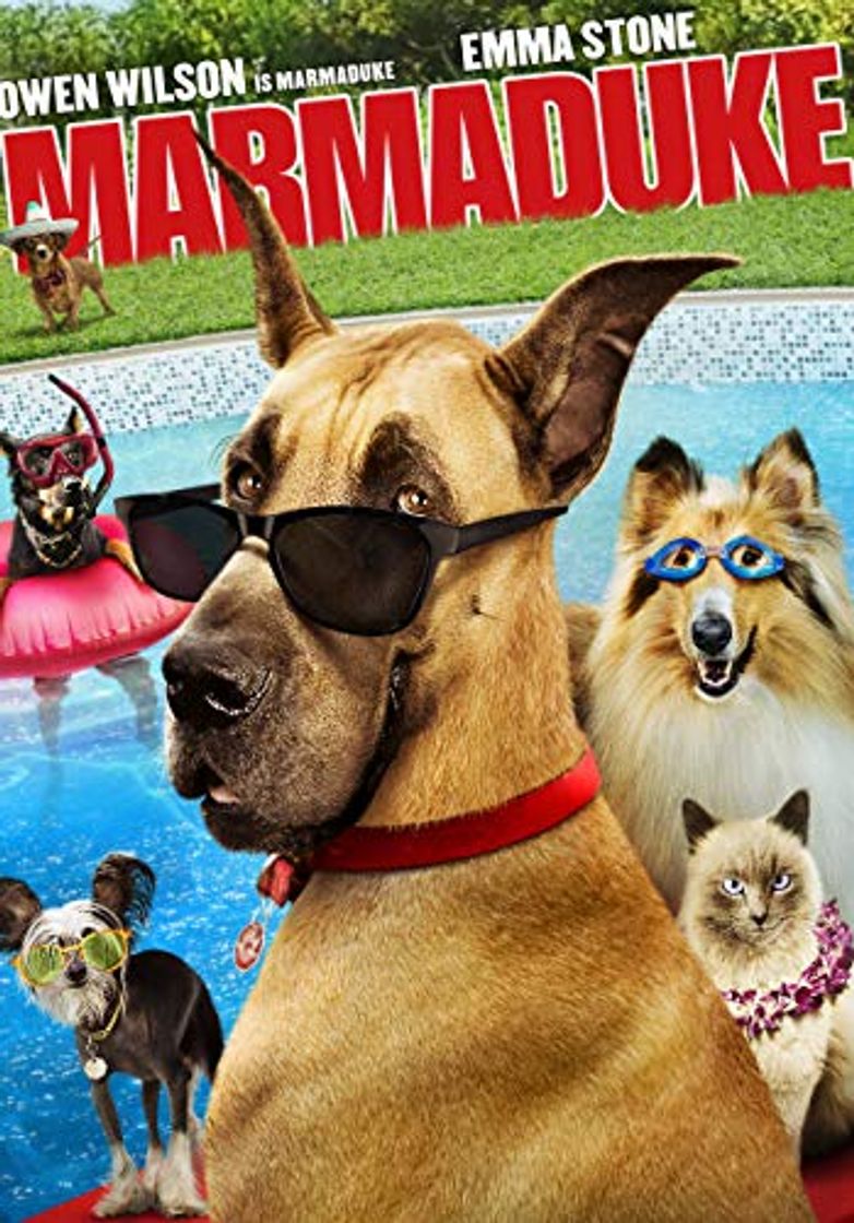 Producto Marmaduke