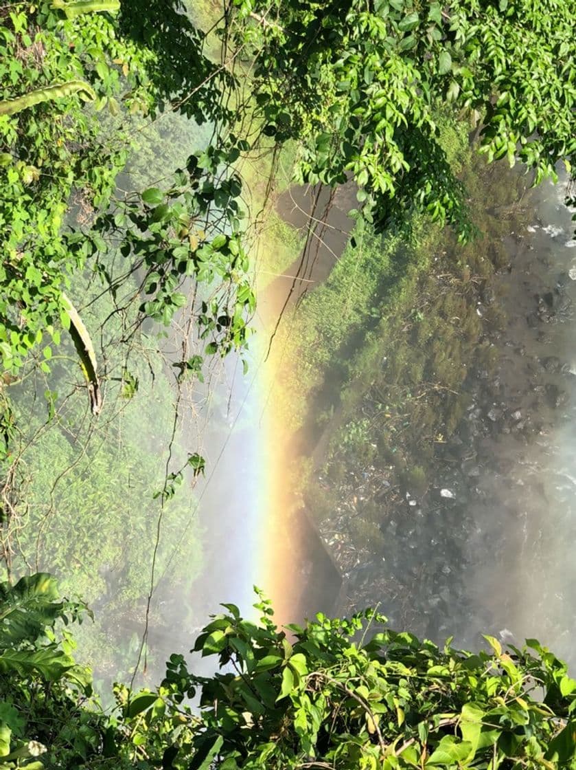 Lugar Cascada El Salto de Eyipantla