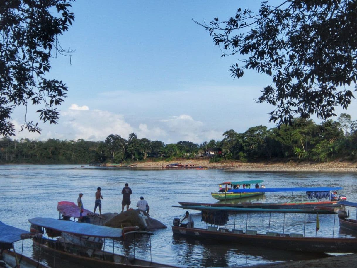 Place Puerto Misahuallí