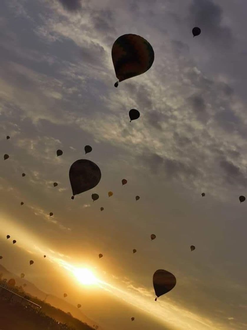 Lugar Oficinas Festival Internacional del Globo