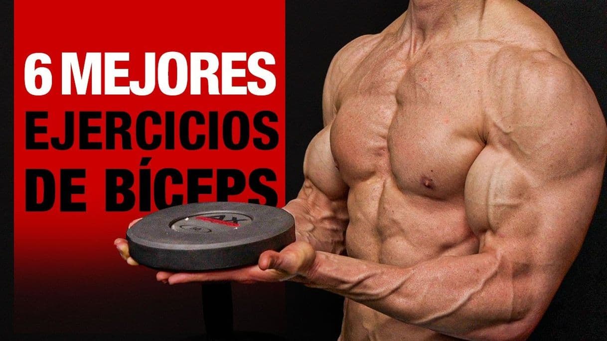 Moda 6 MEJORES Ejercicios para BICEPS ¡No te los Pierdas! - YouTube