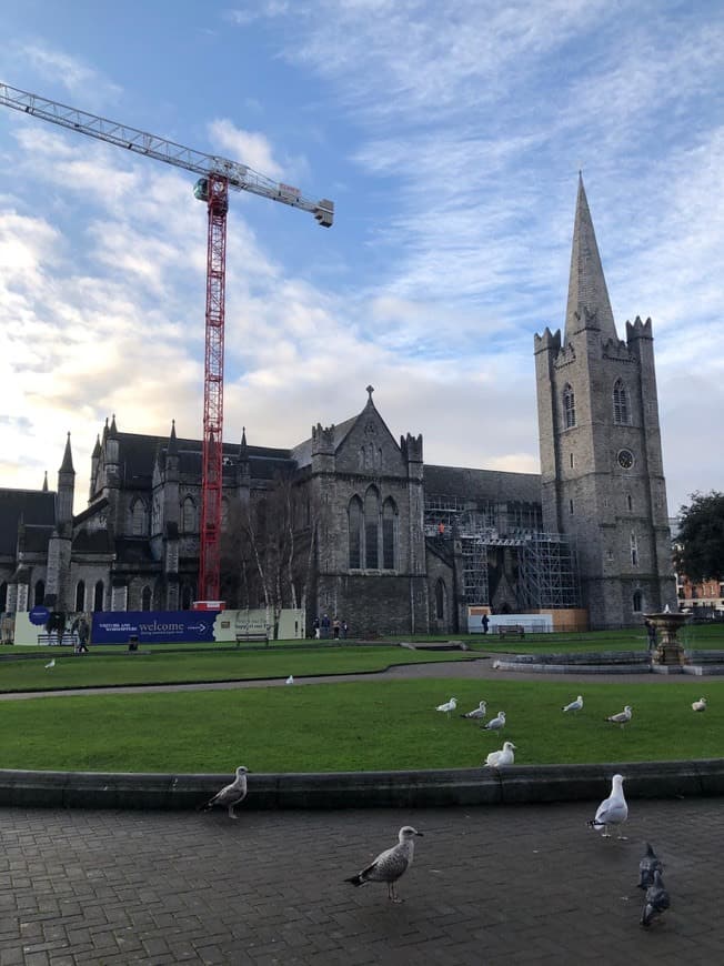 Lugar St Patrick's Cathedral