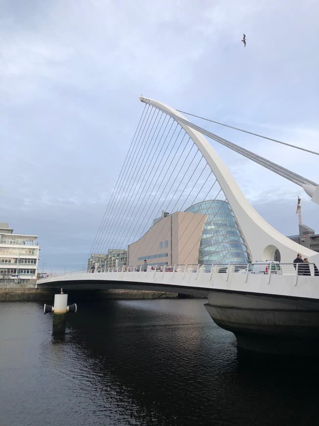 Place Samuel Beckett Bridge