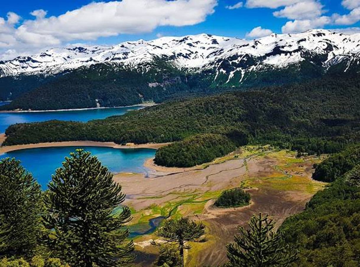 Lugar Parque Nacional Conguillio