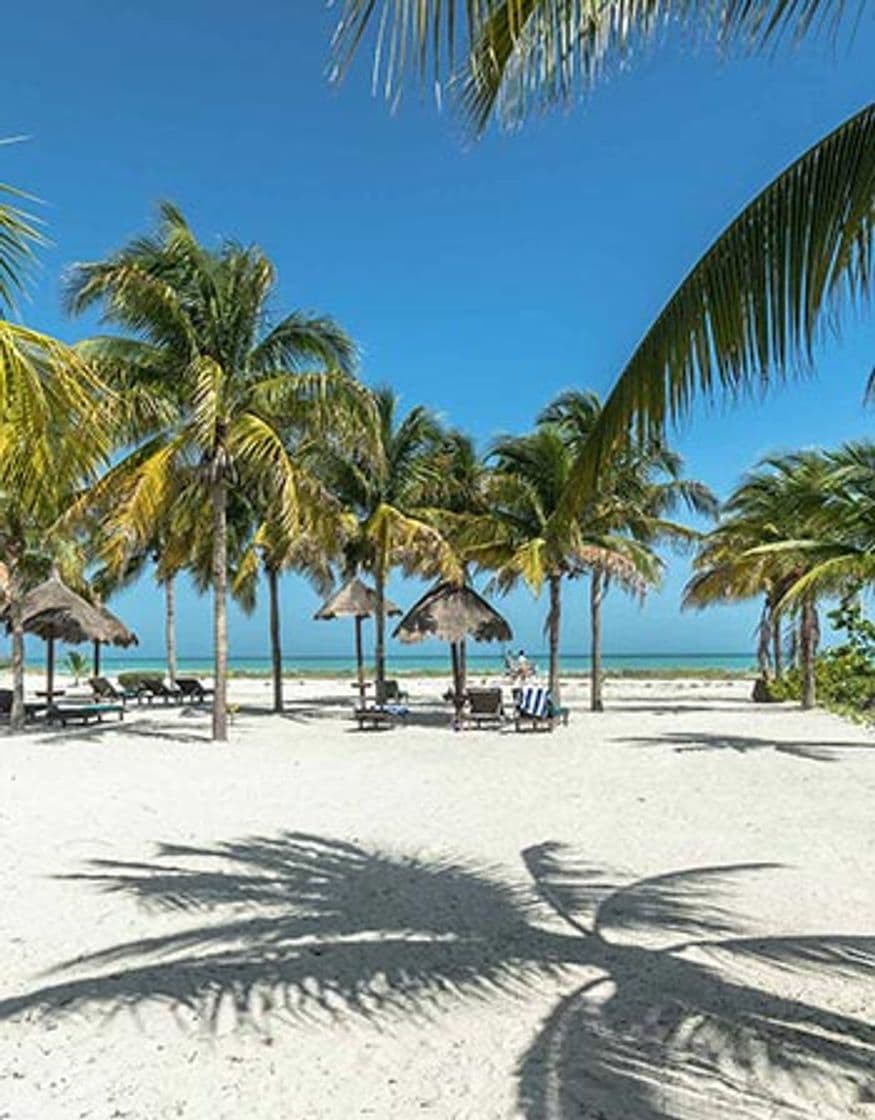 Lugar Holbox