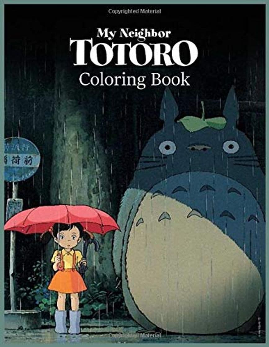 Book My Neighbor Totoro Coloring Book: