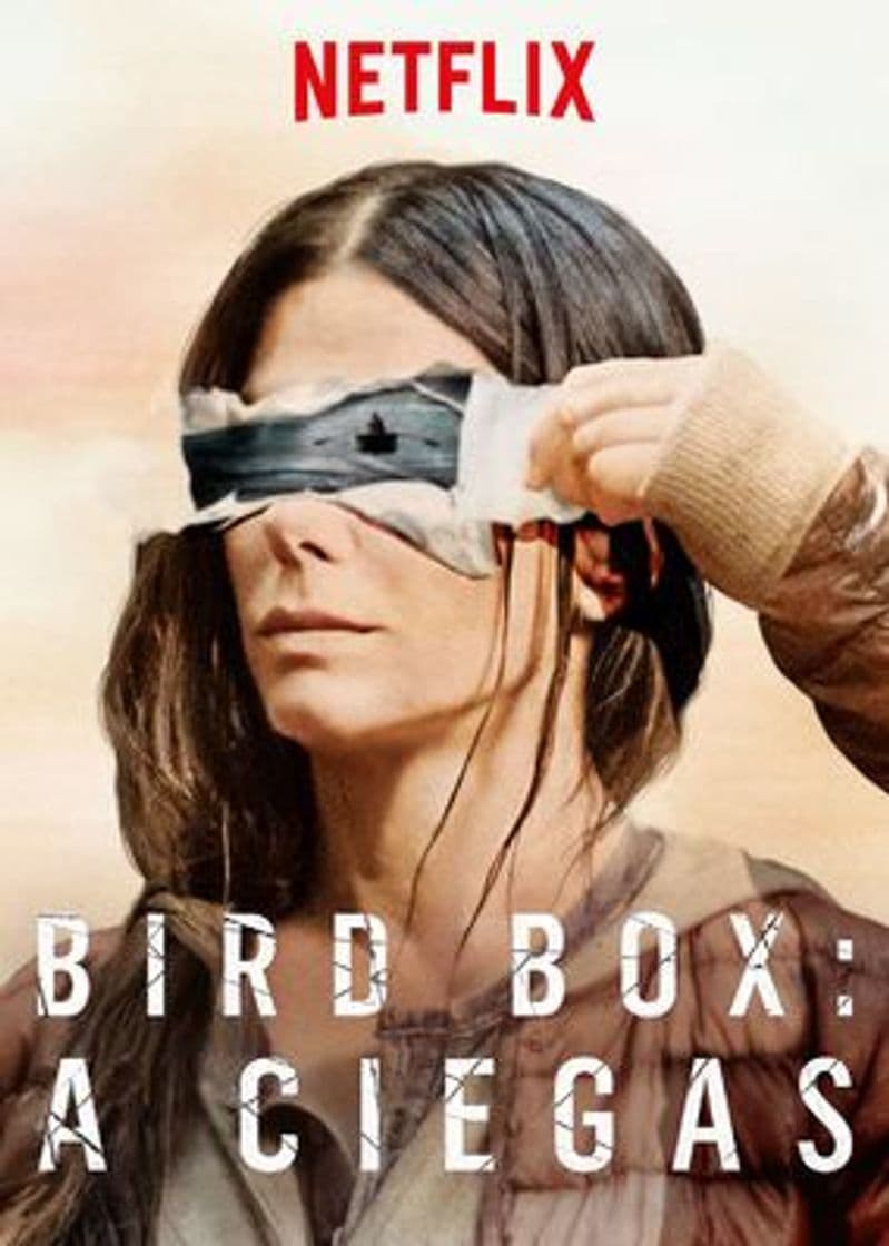 Película Bird Box