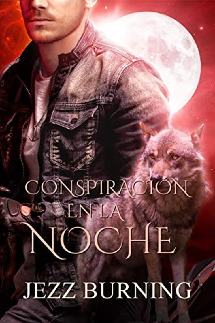 Book Conspiración en la noche