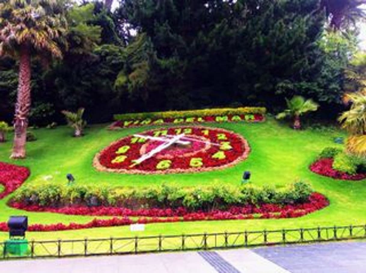 Place Reloj de flores