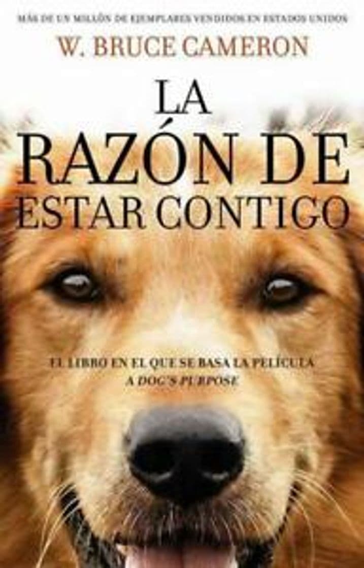 Book La razón de estar contigo