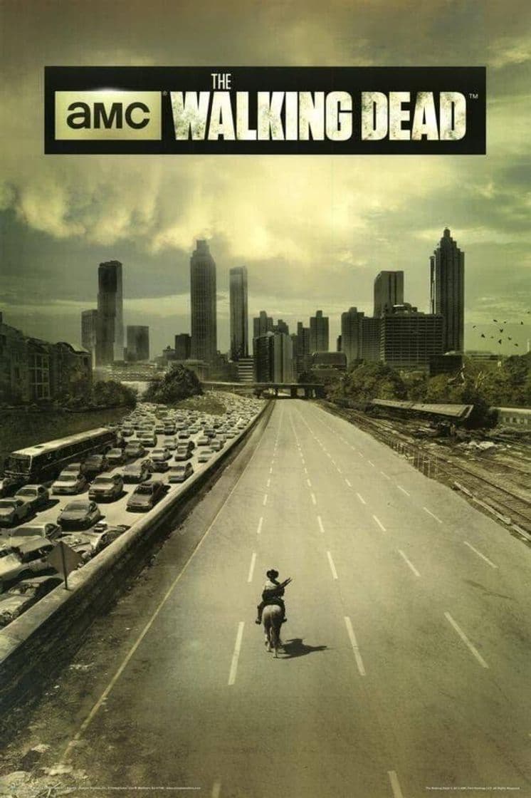 Serie The Walking Dead