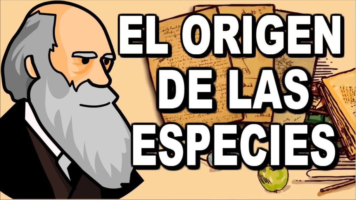 Fashion La teoría de la evolución: El origen de las especies