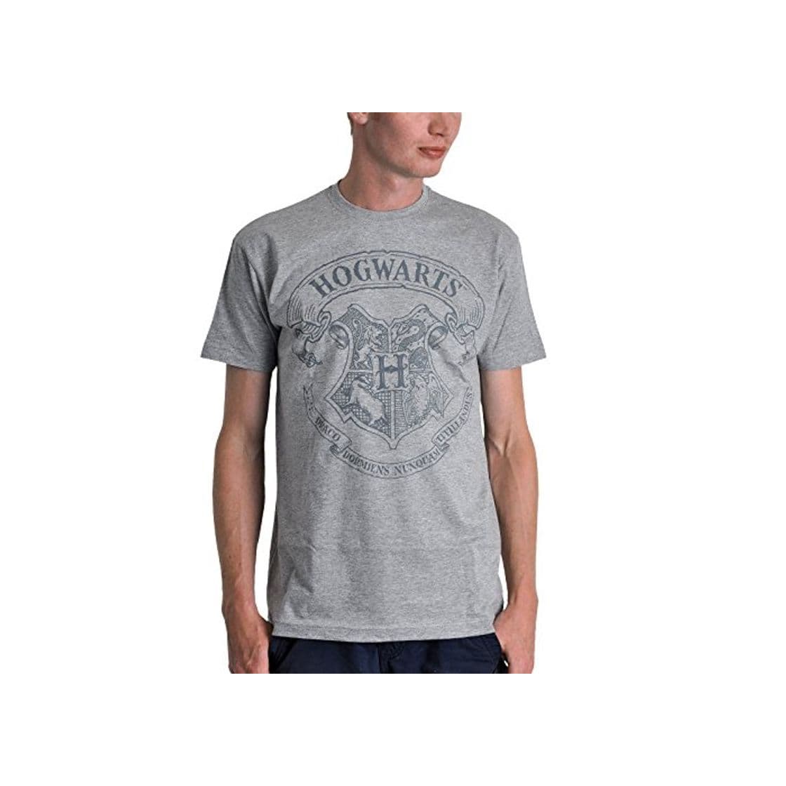 Fashion Harry Potter camiseta Hogwarts logotipo emblema gris manchado