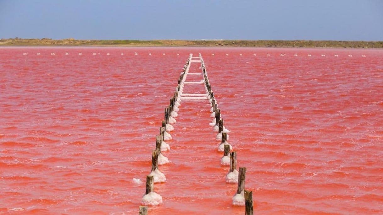 Lugar Mar Rojo