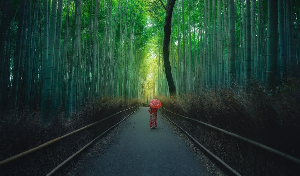 Place Arashiyama Bamboo Forest